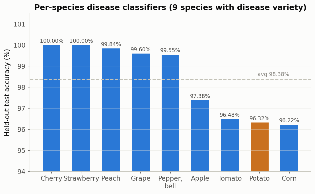 Per-species disease classifier accuracy