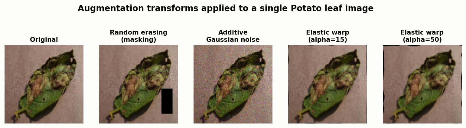 Augmentation transforms applied to a single Potato leaf
